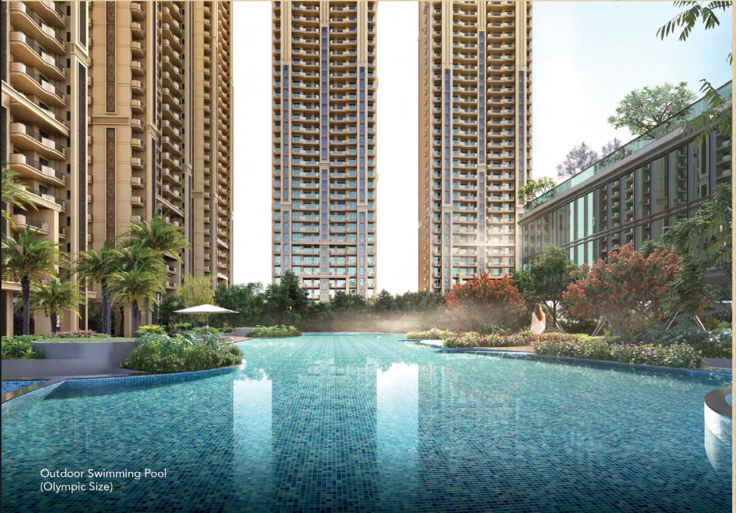Olympic Size Outdoor Swimming Pool